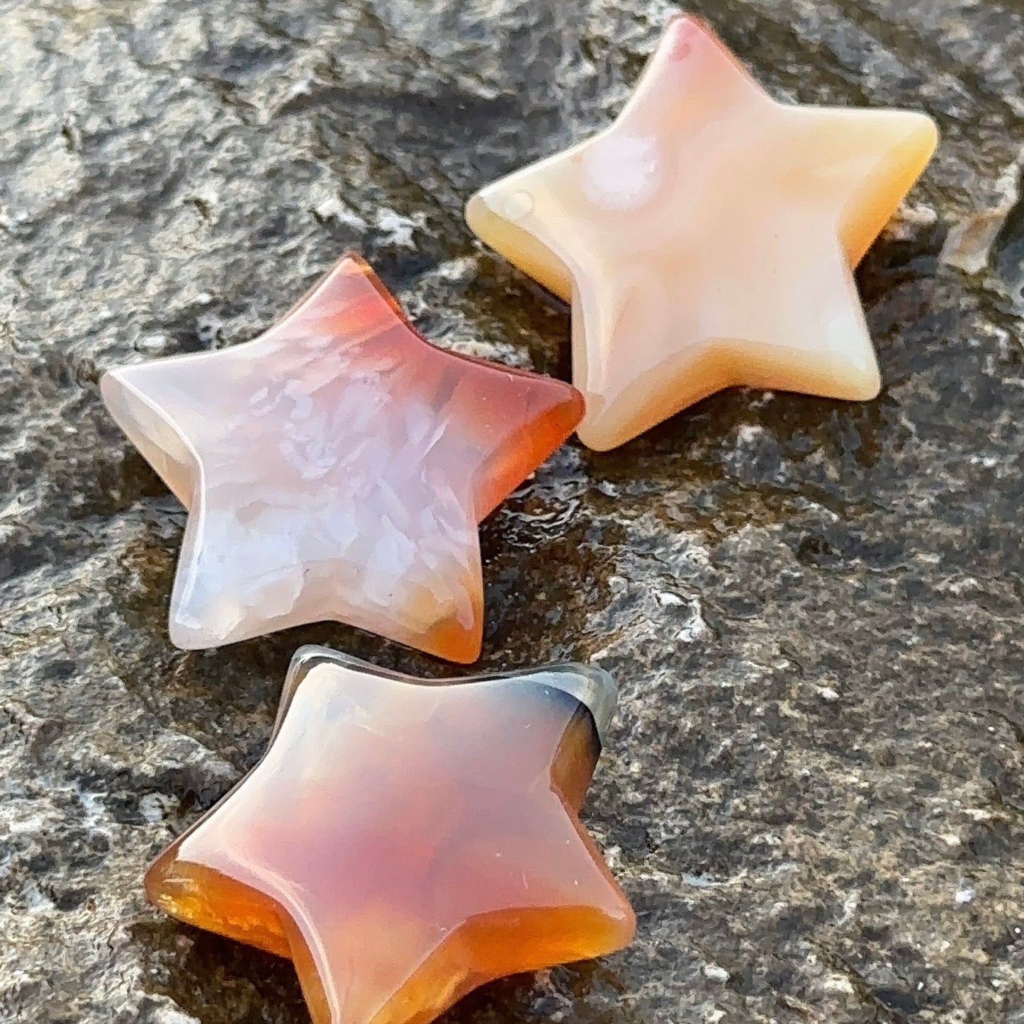L'ÉTOILE DE MER CORNALINE