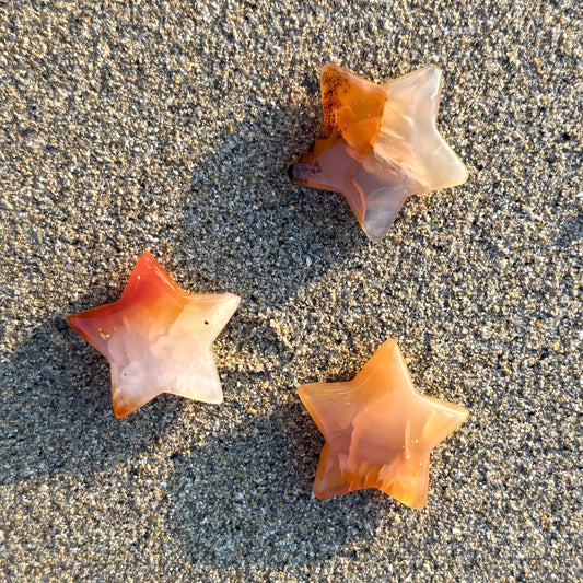 L'ÉTOILE DE MER CORNALINE